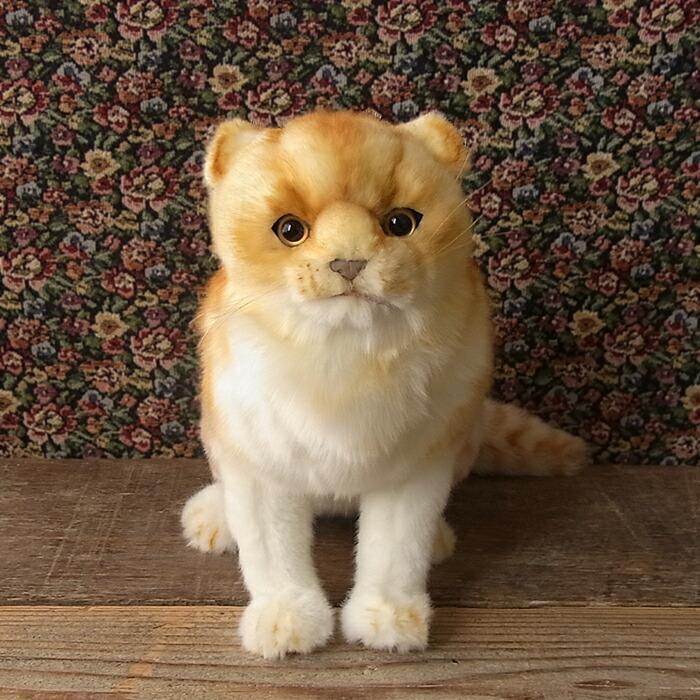 [HANSA Scottish Fold 27 (Zinsha) Plush Toy] Cat Stuffed Toy Realistic Looks Like the Real Pet