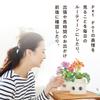 [Amepura] Pet Pot Pet Pot Planter Plant Watering Home Garden (1)