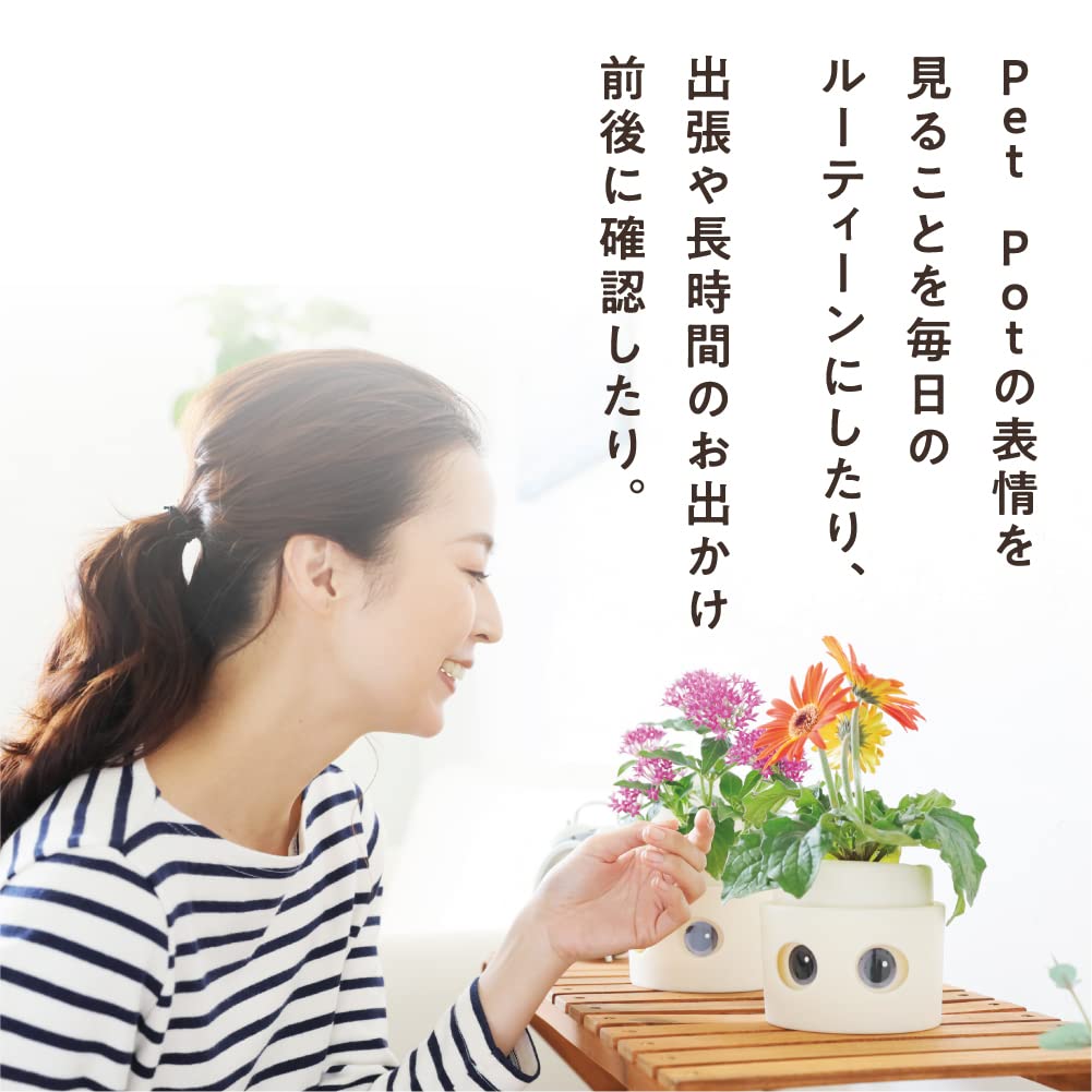 [Amepura] Pet Pot Pet Pot Planter Plant Watering Home Garden (1)