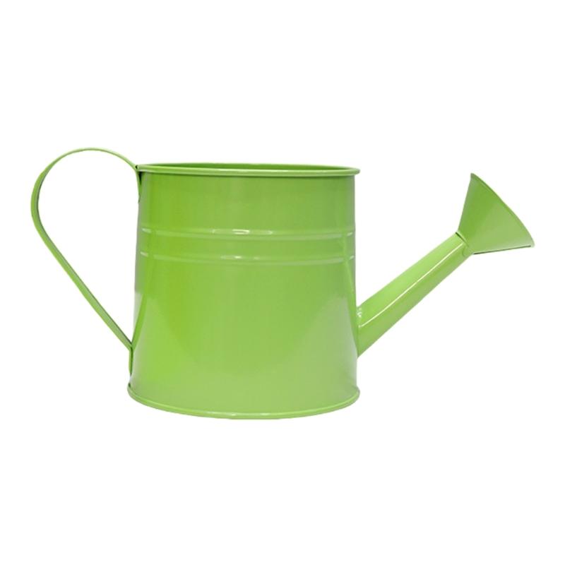 

Vintage Iron Watering Can Planter Convenient Metal Container Perfect as a Flower Pots or Office Decoration світло-зелений колір