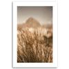 Canvas Print, Dried Grass