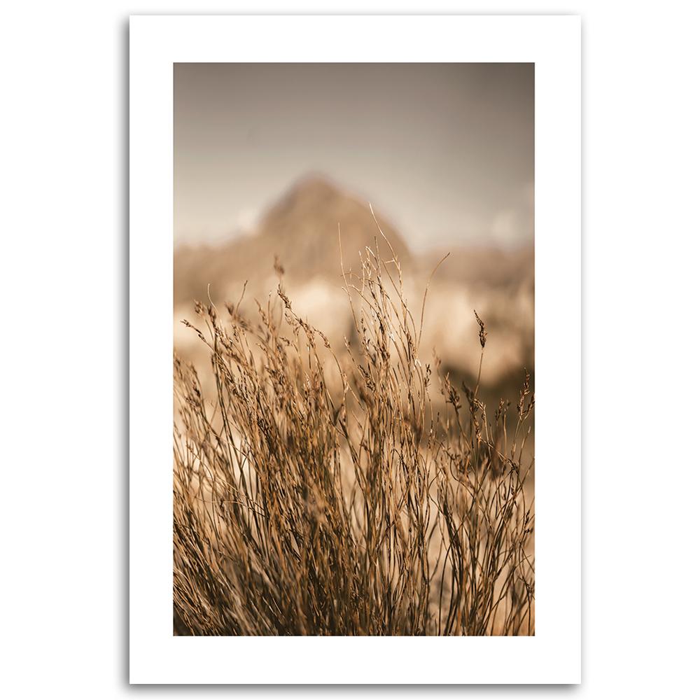 Canvas Print, Dried Grass