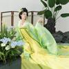 Authentic Tang Dynasty Hanfu Set Womens Wide-Sleeve Ruqun With Embroidery Printed Skirt 2026