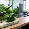 3D Printed Shrimp Hideout Simulation Aquarium Ornament Creative Fish Hollow Shelter  Office