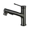 TLXT Bathroom Basin Pull-Out Faucet