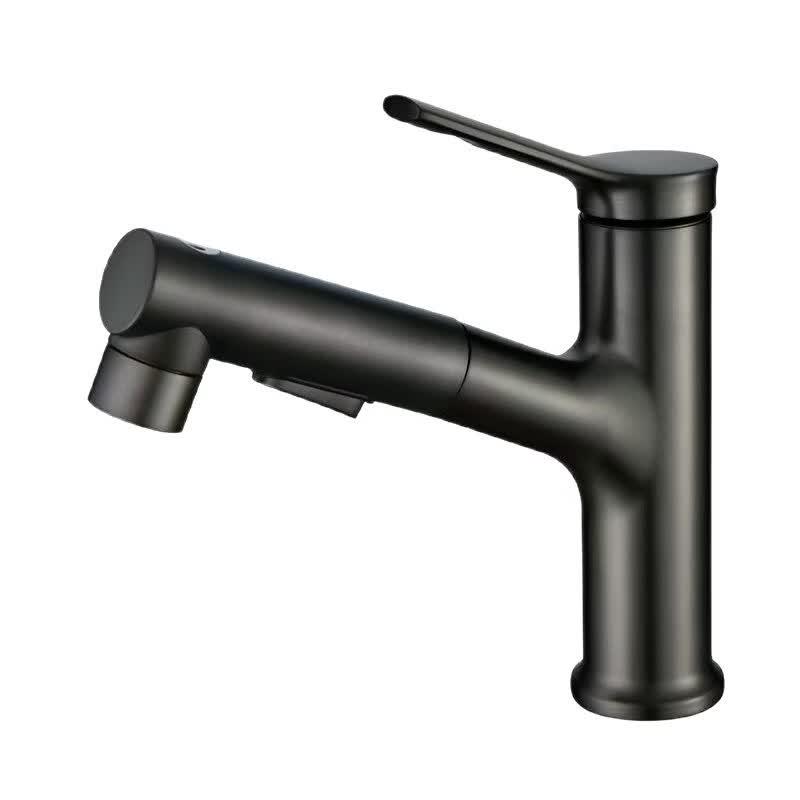 TLXT Bathroom Basin Pull-Out Faucet