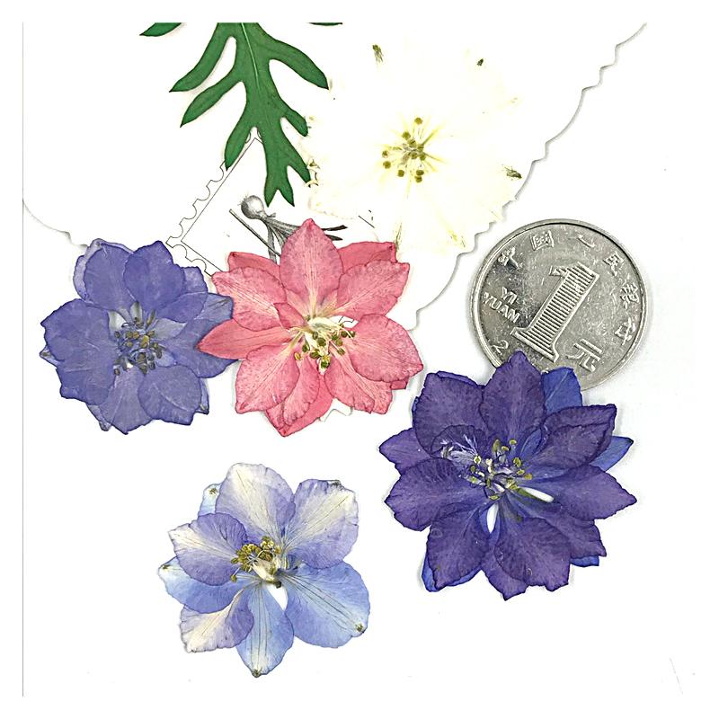30PCS/Bag Dried Flowers Decor DIY UV Resin Mold Fillings Nail Art Flowers Stickers For Jewelry Making Home Decoration Handicraft