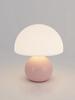 A Pink/orange/red/white/beige USB Socket Decorative Table Lamp for Room Light Decorative Lamp, Night Light, Desk Light.