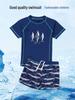 2025 New Boys' Sunscreen Swimwear Set: Toddler To Big Kid Split Swimsuit & Trunks