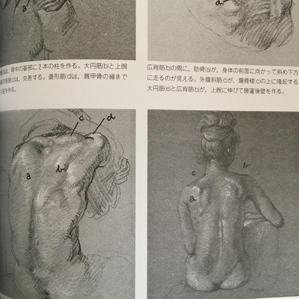 [GEBRAUCHT] Aktzeichnen 430 Schnitte Struktur Grundlegendes Skelett-Diagramm Erklärung Illustration Akt