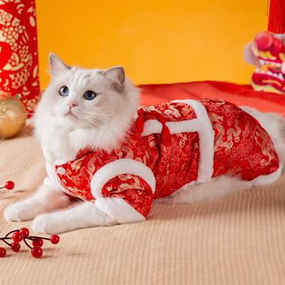 Γάτες – Ρούχα για γάτες