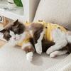Elastic Cat Collar Cartoon Print Recovery Suit Neck Back Bandage Breathable High Elasticity Onesie Surgery Female Spay Comfortable Neutering
