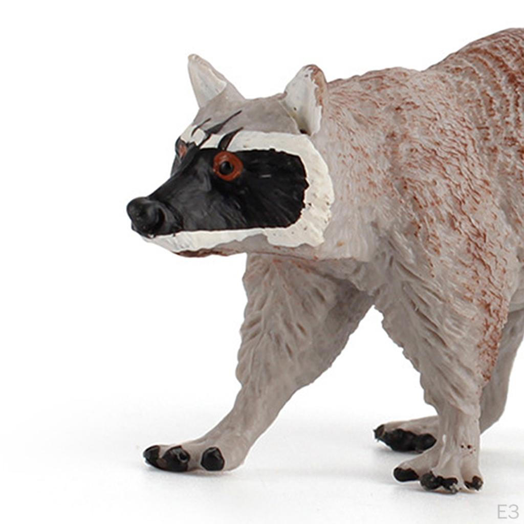 Wildtier Nordamerikanischer Waschbär Figuren Miniaturmodell