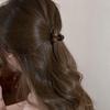 Simple Acrylic Mini Hair Clip For Women Hairpin Coffee Colored Round Hair Claw Clip Hair Accessories Cute Girls Headwear