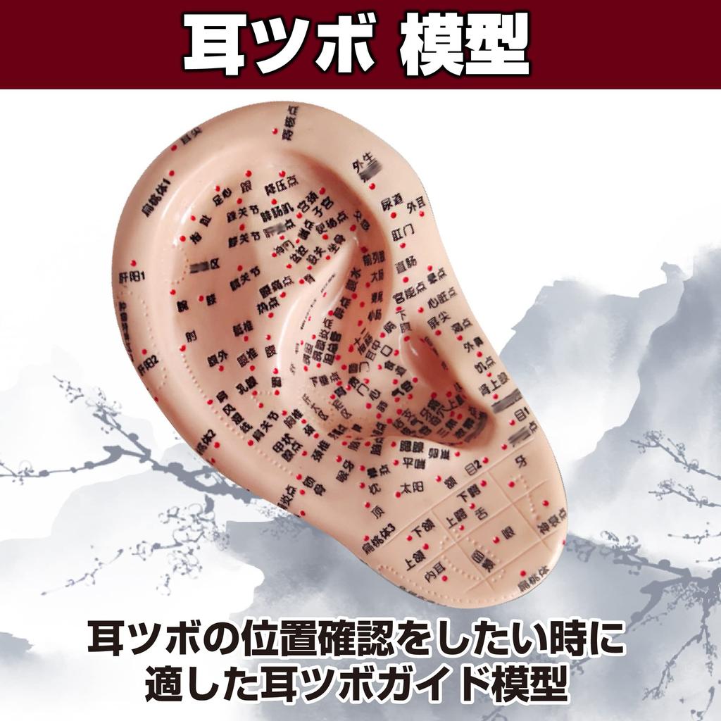 Felimoa Ear Pressure Point Model Massage Acupuncture Position Confirmation Easy To Understand Disorder Improvement Pressure Points