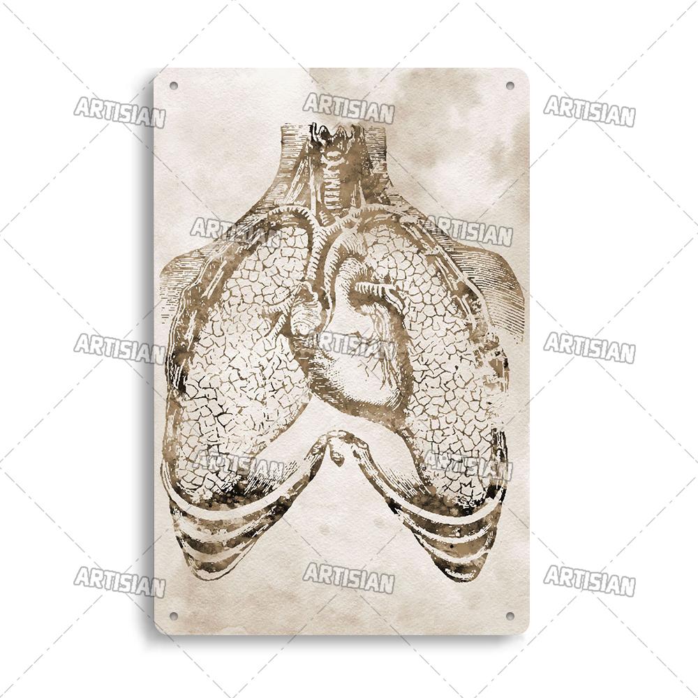 Placca Metallica Artigianale Clinica Dentista Cartello in Latta Anatomia Piatto Decorativo Medico Ospedale Chirurgia Dente Organo Ossa Nervo Cervello