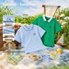 Balabala Boys' Breathable Summer Polo Shirt