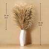 9 Stems Pampas Grass Decor Tall 48''/4 FT, Long Fluffy Dried Pompas Grass, Large Pampas Grass for Floor Vase, Rustic Wedding, Baby Shower, Party,