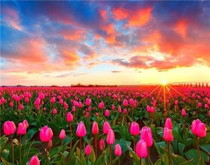 RUOPOTY Digital Painting Flower Sea Hand-Painted Wall Art Painting Unique Gifts On Canvas Sunset Pictures Home Decoration