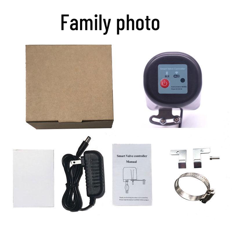 Graffiti Smart Wireless Water & Air Valve with Remote Voice Control