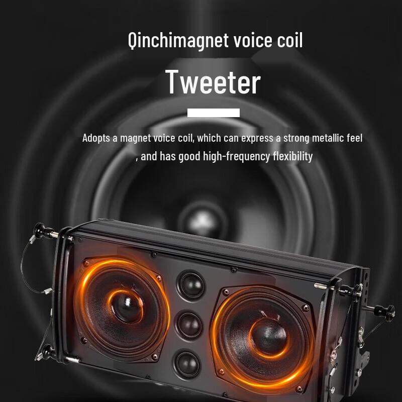 Shangshitong EBC Series Professional Dual 5.5-inch Line Array Speaker (CN Version)