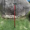 Brangdy Adjustable Trekking Pole