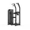 Shua SH-G6851 Dip and Pull-up Station