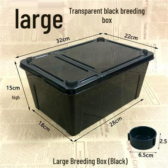 Reptile Habitat Tank for Silkworms, Spiders, Frogs, Snakes, Lizards, Snails, Insects, and Turtles