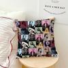 Singer T-Taylor-S-Swift-ES T-TTPD cushion cover Living Room Headboard Office Cushion Bedroom Cushion Sofa Nap Time Pillow Case