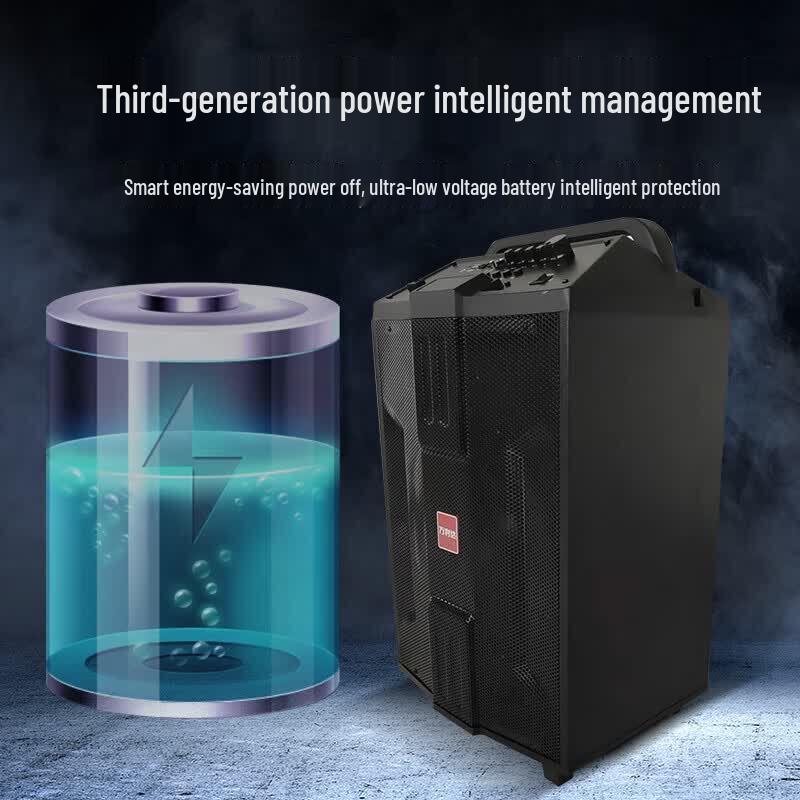 Malata M+9047B 12-inch Outdoor Portable Trolley Speaker (CN Version)