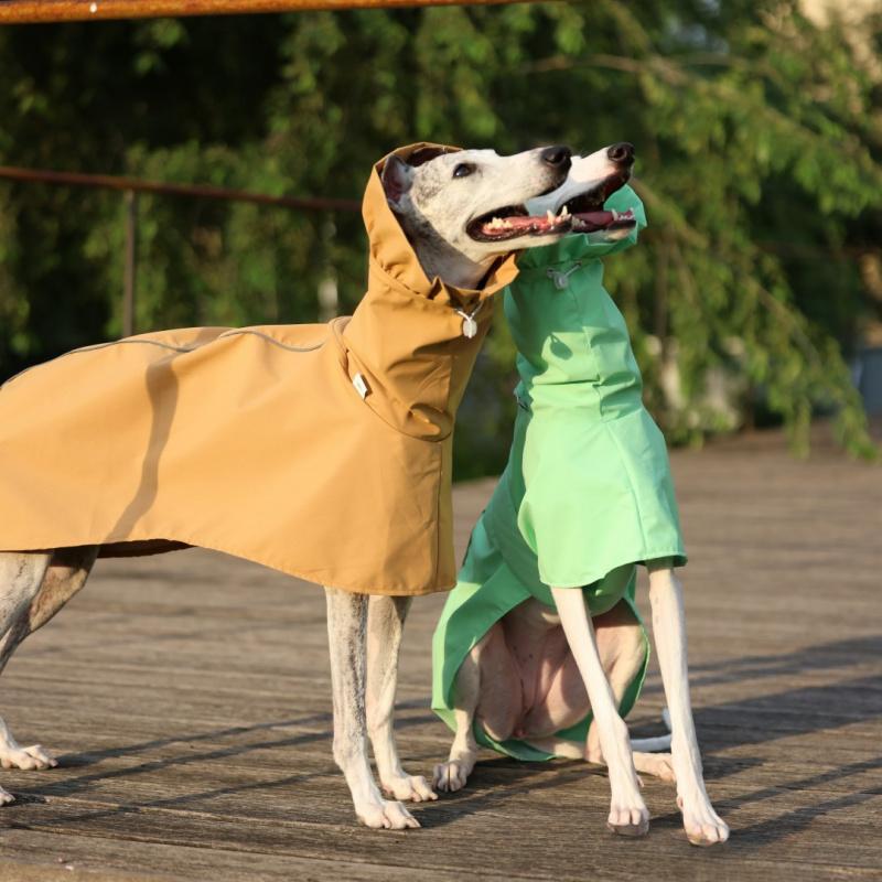 Solid Color Raincoat for Italian Greyhound Whippet in Spring Summer Lightweight Waist Adjustable Windproof Jacket for Pet Dogs 5