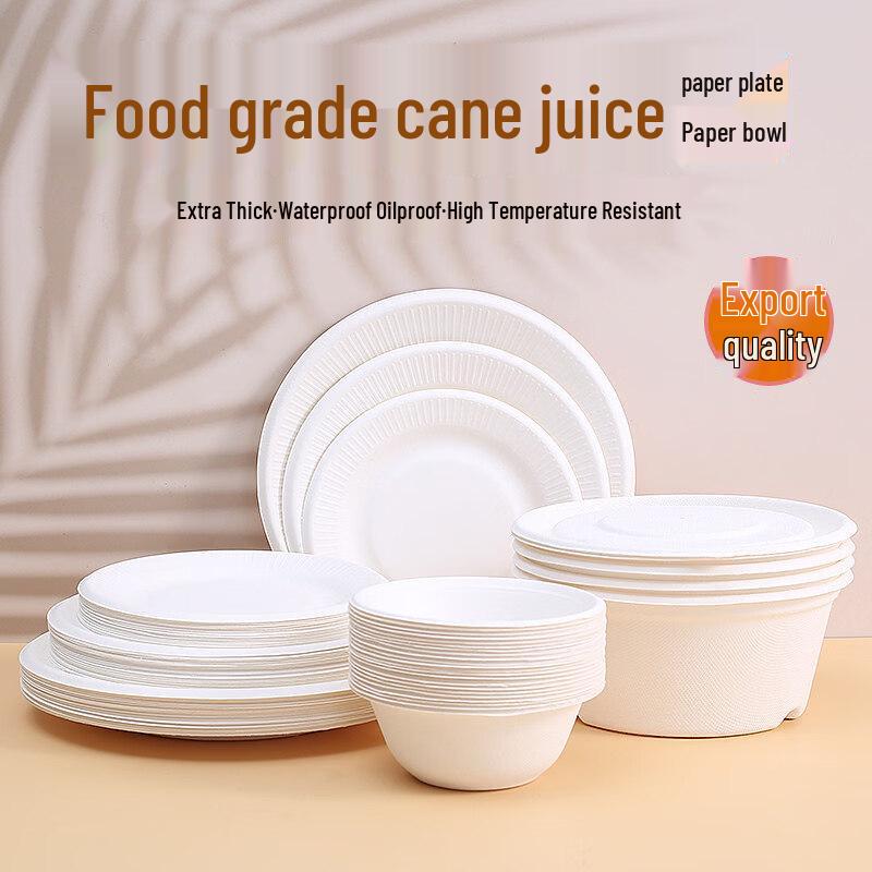 Disposable Sugarcane Pulp Dinnerware Set