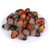 Wedding DIY Crafts Lifelike Foam Simulation Artificial Acorns Christmas Decoration Fake Pine Cones