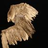 Golden Feather Goose Feather Cloth Edge Cloth Belt Diy Jewelry Accessories Home Decoration Clothing Accessories About 2 Meters 1 Piece