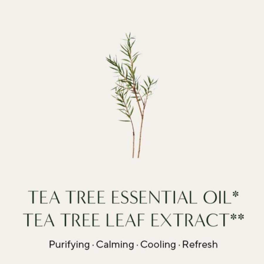 AROMATICA Tea Tree Purifying Tonic 100mL