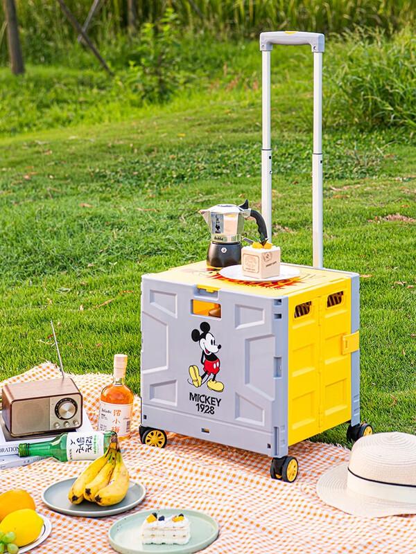 Xiaomengge Foldable Car & Home Outdoor Storage Box