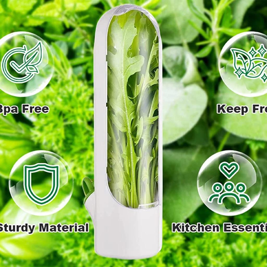 Cross-border Vanilla Vegetable Fresh-keeping Box Dust-proof Anti-pressure Environmental Protection Fresh-keeping Device Creative