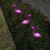 Cross-Border Solar Flamingo Landscape Lights: Outdoor Garden and Lawn Decoration Ornaments
