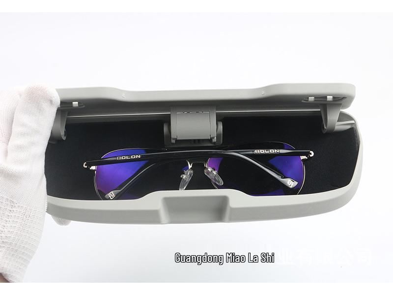 Porsche Panamera Glasses Case