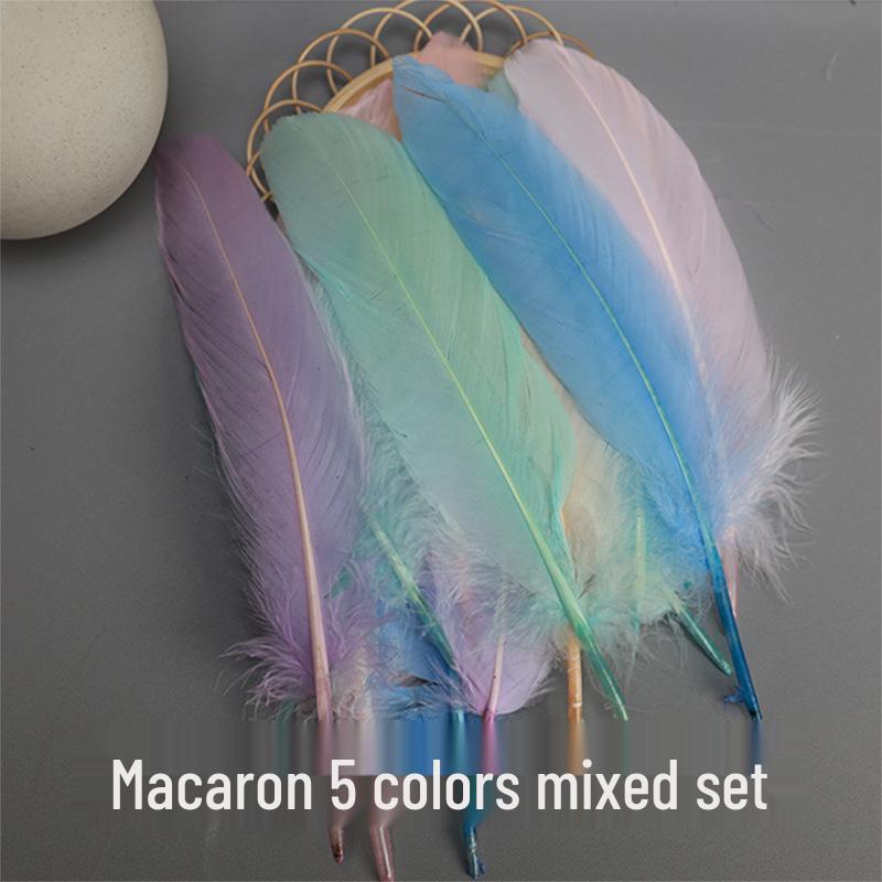 Barevná barvená velká husí pera pro DIY řemesla, ručně vyráběné dekorace a projekty pro mateřské školy