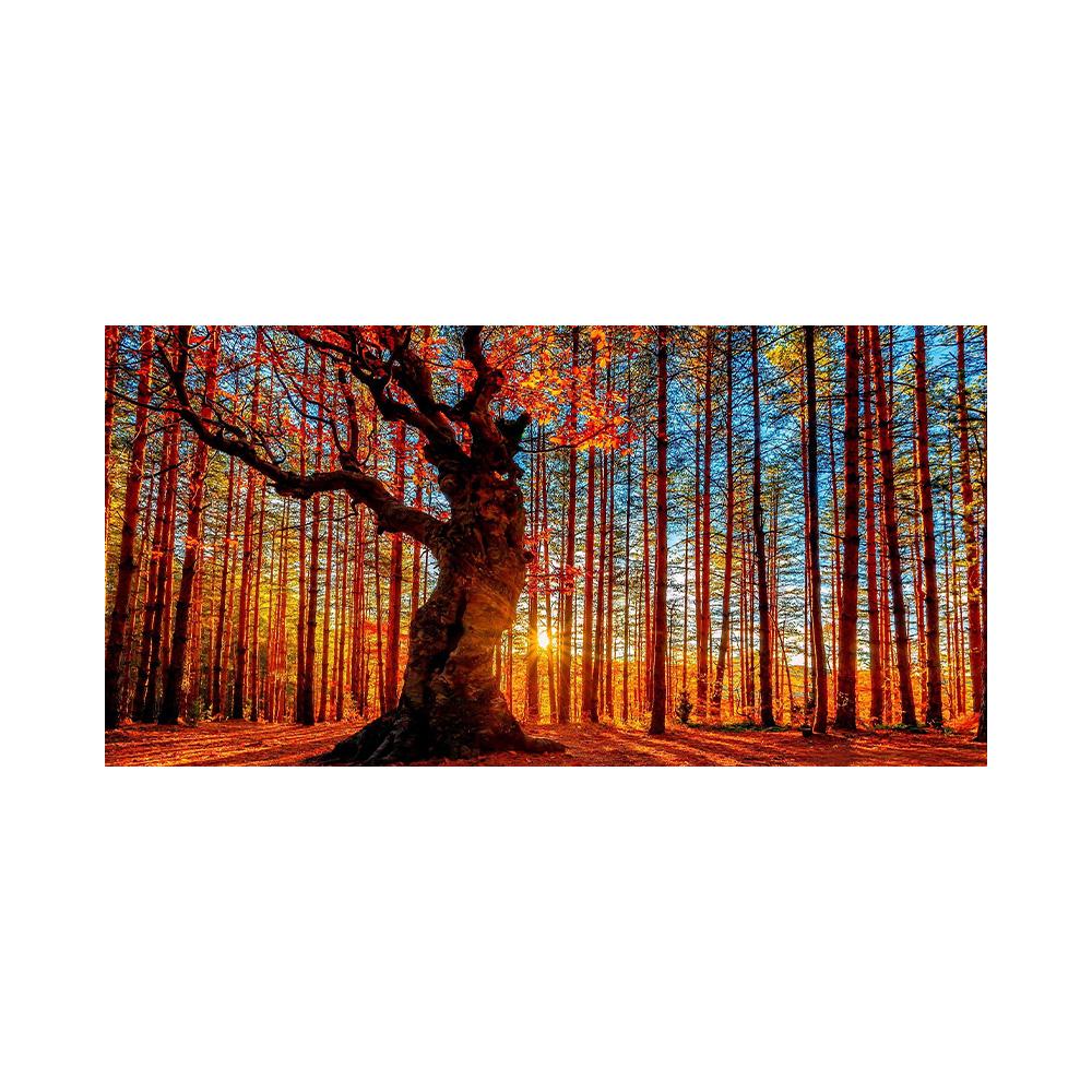 

Природа Восход Лес Деревья Холст Живопись Постеры и Принты Пейзаж Настенное Искусство Картины для Современной Гостиной Cuadros Decor 20x40cm NoFrame