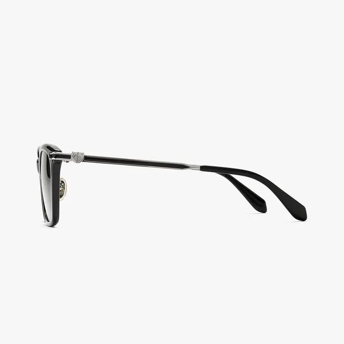 Sunglasses (SF2042SLB 001 50)
