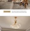Dandelion Crystal Chandelier - Modern Lighting for Bedroom, Living Room, Bar, and Clothing Store
