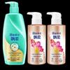 Rejoice Anti-Dandruff Shampoo & Sweet Floral Conditioner Set