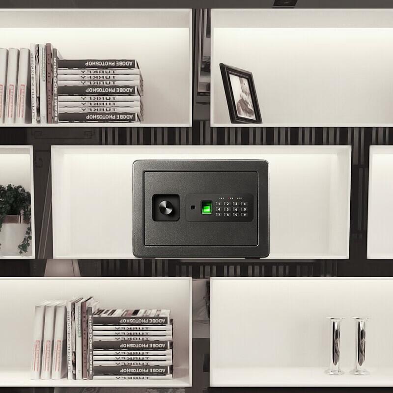 Deli 25CM Fingerprint & Password Home Safe