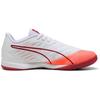 Puma Ibero IV_10829301_280