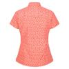 Regatta Womens/Ladies Mindano VI Ditsy Print Shirt