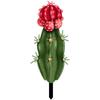 Cactus Garden Stake Acrylic Cactus Yard Art Outdoor Cactus Statue Sculpture Ornament for Garden Lawn Ground Yard Decorations