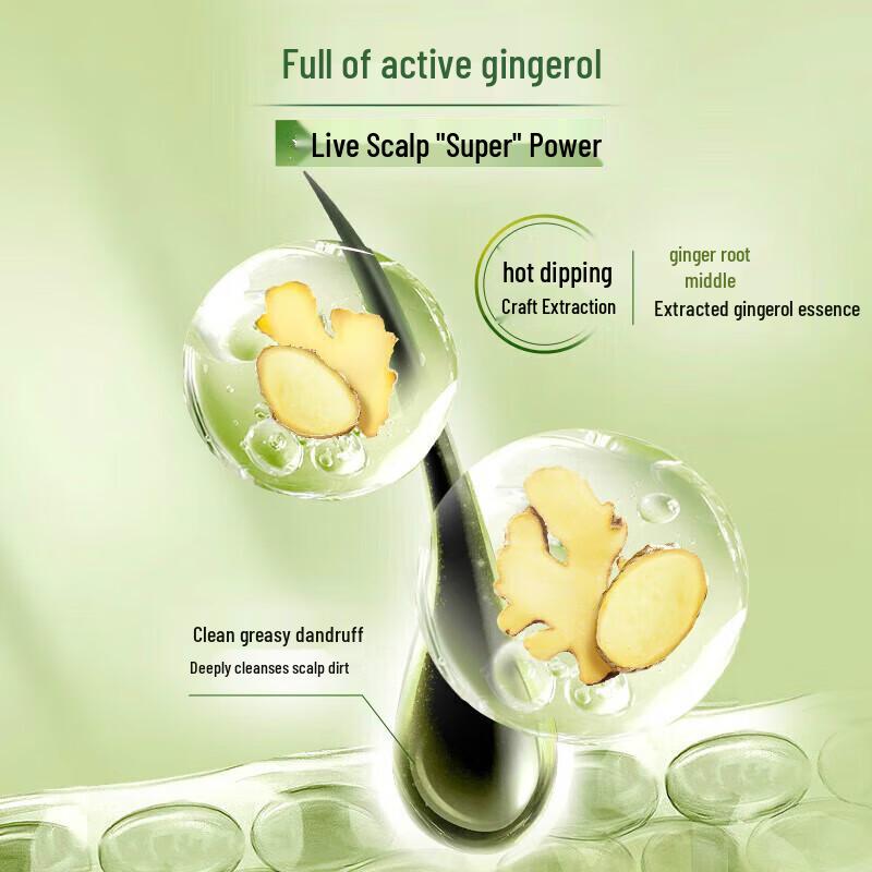 Schwarzkopf Ginger Essence Oil Control & Repair Shampoo