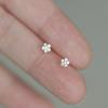 Simple Zircon S925 Sterling Silver Mini Flower Stud Earrings, Popular Electroplated Star Stud Earrings.